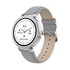 Denver SWC-342 Grey цена и информация | Смарт-часы (smartwatch) | hansapost.ee