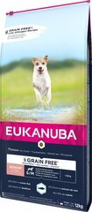 Kuivtoit väikestest ja keskmistest tõugudest koertele Eukanuba Senior kalaga, 12 kg hind ja info | Koerte kuivtoit ja krõbinad | hansapost.ee