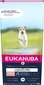 Kuivtoit väikestest ja keskmistest tõugudest koertele Eukanuba Senior kalaga, 12 kg цена и информация | Koerte kuivtoit ja krõbinad | hansapost.ee
