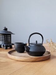 Чугунный чайник, 300 мл цена и информация | Чайники, кофейники | hansapost.ee