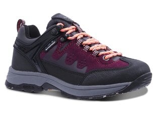 Женская обувь для отдыха Icepeak WYOT, черно-фиолетовый цвет цена и информация | Спортивная обувь, кроссовки для женщин | hansapost.ee