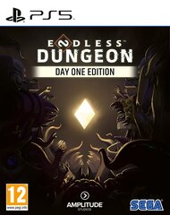 Endless Dungeon (Day One Edition) hind ja info | sega Mängukonsoolid ja tarvikud | hansapost.ee