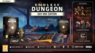 Endless Dungeon (Day One Edition) hind ja info | sega Arvutid ja IT- tehnika | hansapost.ee