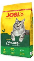 Josera JosiCat Crunchy Chicken täiskasvanud kassidele koos kanaga, 10 kg hind ja info | Kassi kuivtoit ja kassikrõbinad | hansapost.ee