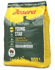 Josera Junior Youngstar Grainfree noortele kutsikatele, 5x900 g цена и информация | Сухой корм для собак | hansapost.ee