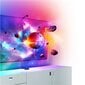 Nanoleaf 4D TV Screen Mirror + Light Strips Kit NF082K02-40LS цена и информация | Nutitelerite lisatarvikud | hansapost.ee