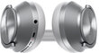 Technics EAH-A800E-K Silver цена и информация | Kõrvaklapid | hansapost.ee