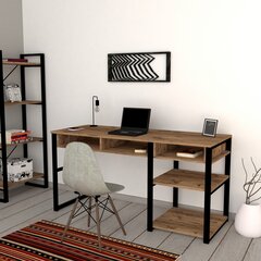 Письменный стол Emro, коричневый цена и информация | Компьютерные, письменные столы | hansapost.ee