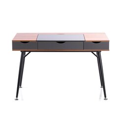 Письменный стол Homede Faryn, коричневый/черный цена и информация | Компьютерные, письменные столы | hansapost.ee