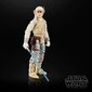 Star Wars Luke Skywalker Hoth mänguasi figuur 15cm цена и информация | Mänguasjad poistele | hansapost.ee