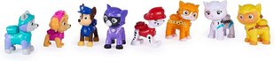8 figuuriline kassimeeskond Paw Patrol Cat Pack цена и информация | Игрушки для мальчиков | hansapost.ee
