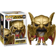 Pop joonis DC Comics Black Adam Hawkman hind ja info | Fännitooted mänguritele | hansapost.ee