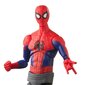 Kuju Peter B. Parker Marvel Spider man Hasbro цена и информация | Mänguasjad poistele | hansapost.ee