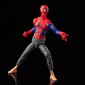 Kuju Peter B. Parker Marvel Spider man Hasbro цена и информация | Mänguasjad poistele | hansapost.ee