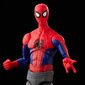 Kuju Peter B. Parker Marvel Spider man Hasbro цена и информация | Mänguasjad poistele | hansapost.ee