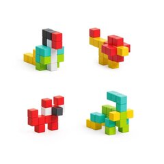 PIXIO 50, 6-цветные магнитные блоки и бесплатное программное обеспечение цена и информация | Конструкторы и кубики | hansapost.ee