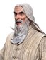 The Lord of the Rings Fandom Saruman the White hind ja info | Fännitooted mänguritele | hansapost.ee