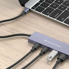 Conceptronic HUBBIES13G цена и информация | Адаптеры и USB-hub | hansapost.ee