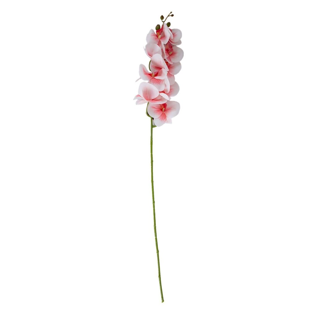 Kunstlill Magnoolia Flowerly цена и информация | Kunstlilled | hansapost.ee