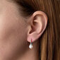 Kõrvarõngad naistele Evolution Group 81P00022 SEG0632 цена и информация | Kõrvarõngad | hansapost.ee