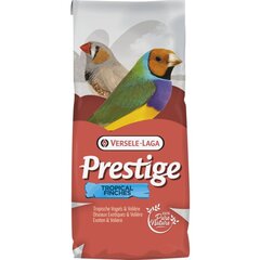 Seemnesegu eksootilistele lindudele Versele Laga Tropical Finches Breeding, 20 kg hind ja info | Versele Laga Linnud | hansapost.ee