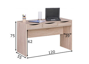 Письменный стол Samo III, сонома дуб  цена и информация | Компьютерные, письменные столы | hansapost.ee