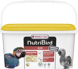 Puder papagoidele Versele Laga Nutribird A19, 3 kg hind ja info | Toit lindudele | hansapost.ee