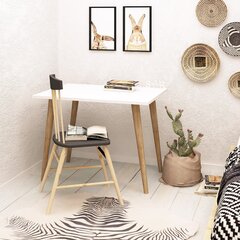 Письменный стол Kalune Design Lery, белый/коричневый цена и информация | Компьютерные, письменные столы | hansapost.ee