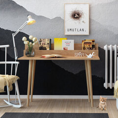Письменный стол Kalune Design Rammi, коричневый цена и информация | Детские письменные столы | hansapost.ee