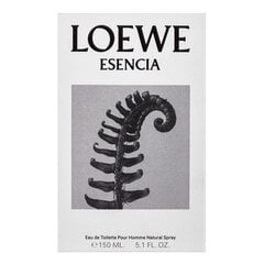 Tualettvesi Loewe Esencia EDT, 150 ml цена и информация | Женские духи | hansapost.ee