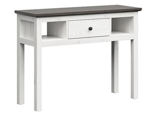 Письменный стол BRW Hesen, светло-серый/серый цена и информация | Компьютерные, письменные столы | hansapost.ee