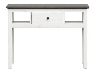 Письменный стол BRW Hesen, светло-серый/серый цена и информация | Компьютерные, письменные столы | hansapost.ee