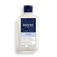 Šampoon Phyto Softness Shampoo, 250 ml hind ja info | Šampoonid | hansapost.ee