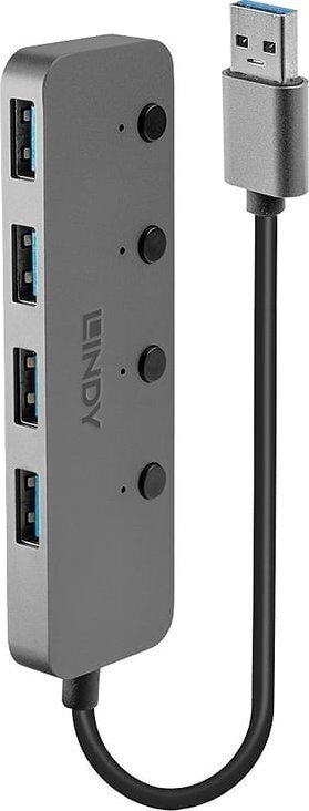 Lindy 43309 цена и информация | USB adapterid ja jagajad | hansapost.ee
