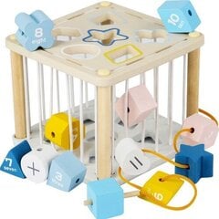 Развивающий деревянный кубик Kruzzel цена и информация | Игрушки для малышей | hansapost.ee