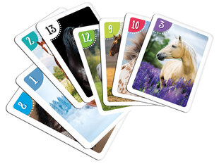 Карточная развивающая игра Alexander Peter Card лошади цена и информация | Развивающие игрушки для детей | hansapost.ee