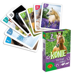 Карточная развивающая игра Alexander Peter Card лошади цена и информация | Развивающие игрушки для детей | hansapost.ee