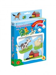 Небольшая ферма «Магнезия» цена и информация | Развивающие игрушки для детей | hansapost.ee