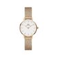 Käekell naistele Daniel Wellington DW00100447 hind ja info | Käekellad naistele | hansapost.ee