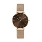 Käekell naistele Daniel Wellington DW00100477 цена и информация | Käekellad naistele | hansapost.ee