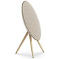 Bang & Olufsen Beosound A9 5th Gen Gold Tone 1200633 цена и информация | Kõlarid | hansapost.ee