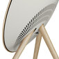 Bang & Olufsen Beosound A9 5th Gen Gold Tone 1200633 hind ja info | Kõlarid | hansapost.ee