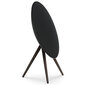 Bang & Olufsen Beosound A9 5th Gen Black Anthracite 1200632 цена и информация | Kõlarid | hansapost.ee