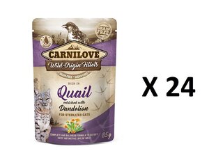 Консервы для кошек Carnilove с мясом перепелов и одуванчиками 24 X 85г цена и информация | Кошачьи консервы | hansapost.ee