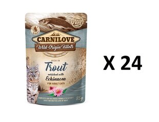 Carnilove консервы для кошек с форелью и эхинацеей 24 X 85г цена и информация | Консервы для кошек | hansapost.ee