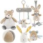 Muusikapaneel Chicco My Sweet Doudou Bunny hind ja info | Beebide mänguasjad | hansapost.ee