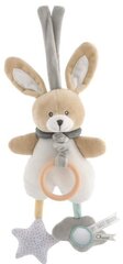 Muusikapaneel Chicco My Sweet Doudou Bunny hind ja info | Beebide mänguasjad | hansapost.ee