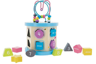 Puidust sorteerija 4-in-1 Trefl multifunktsionaalne hind ja info | Beebide mänguasjad | hansapost.ee