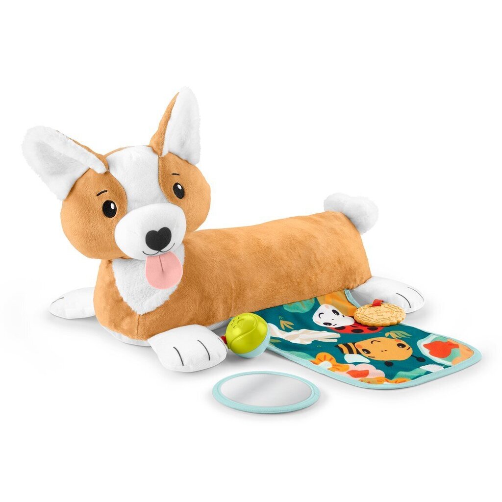 Koera kõhupadi Fisher-Price 3in1 цена и информация | Beebide mänguasjad | hansapost.ee