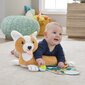Koera kõhupadi Fisher-Price 3in1 цена и информация | Beebide mänguasjad | hansapost.ee